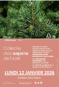 Collecte des sapins de Noël
