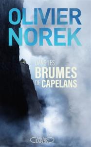 DANS LES BRUMES DE CAPELANS